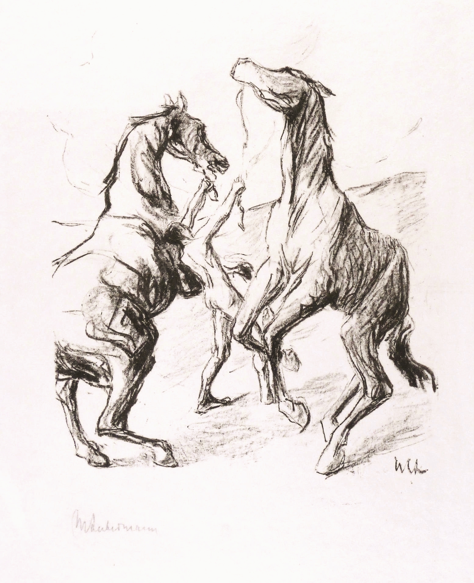 Pferdebändiger