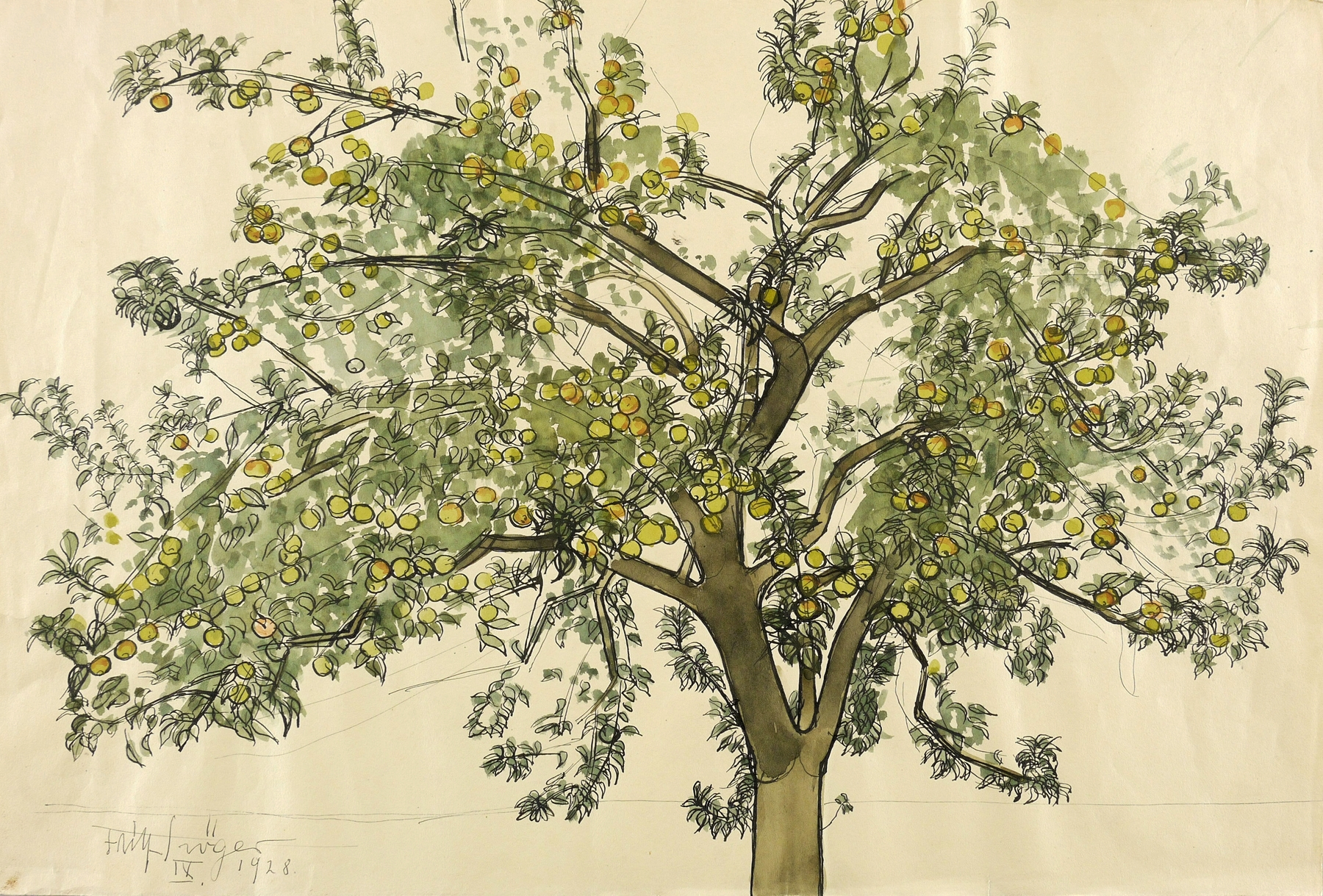 Apfelbaum Apfelbaum