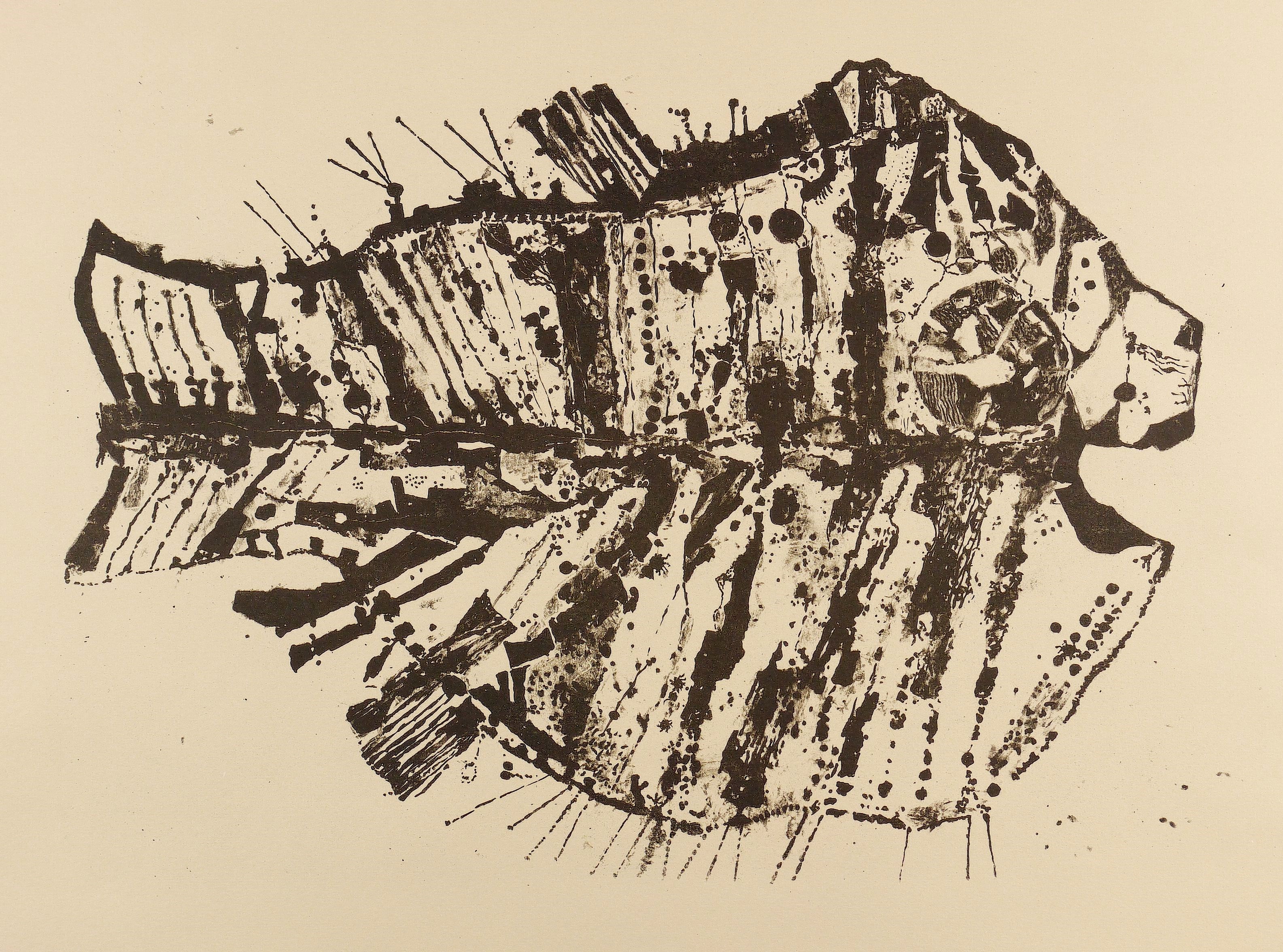 Fisch Fisch