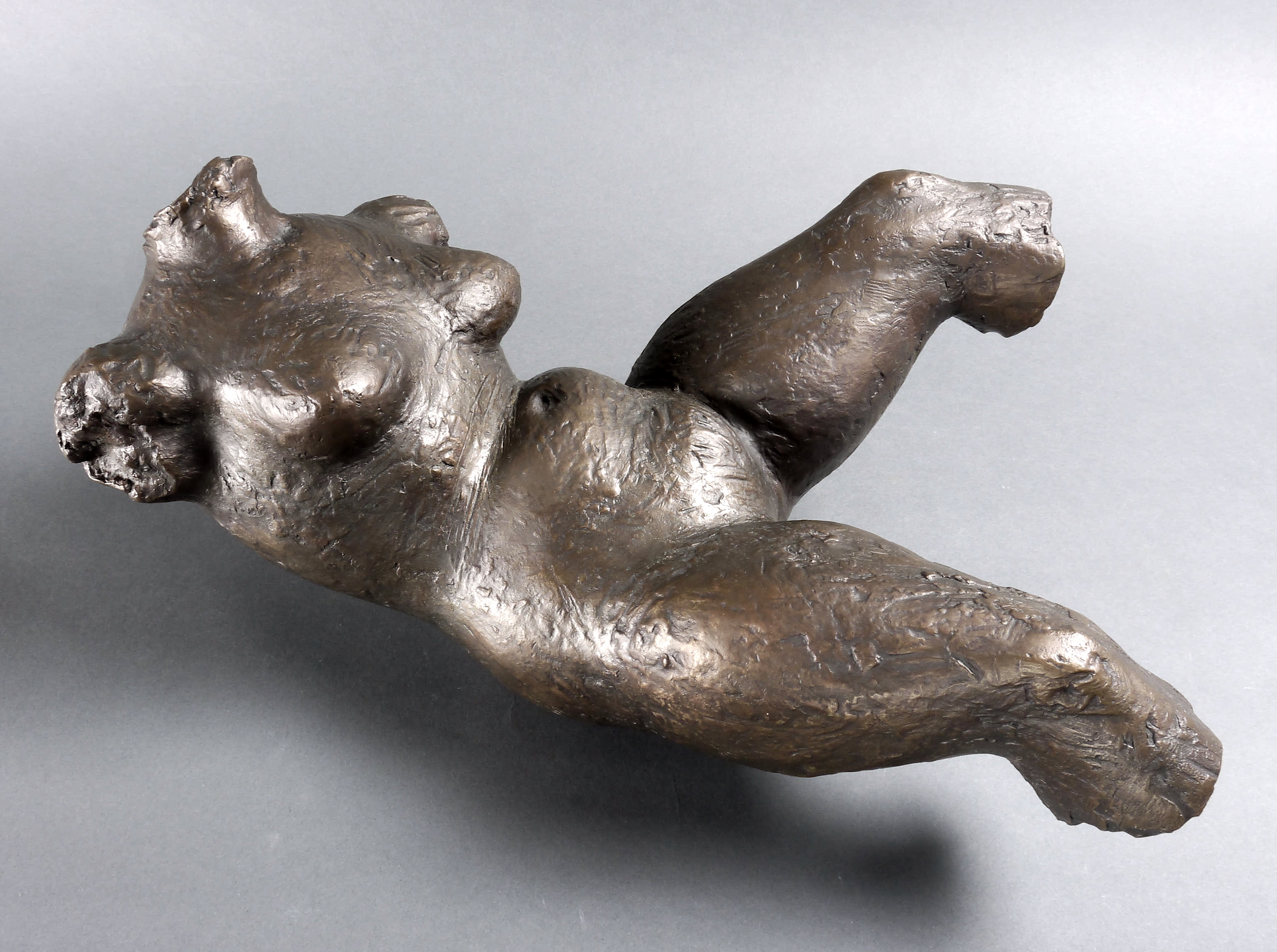 Bewegter Torso Bewegter Torso