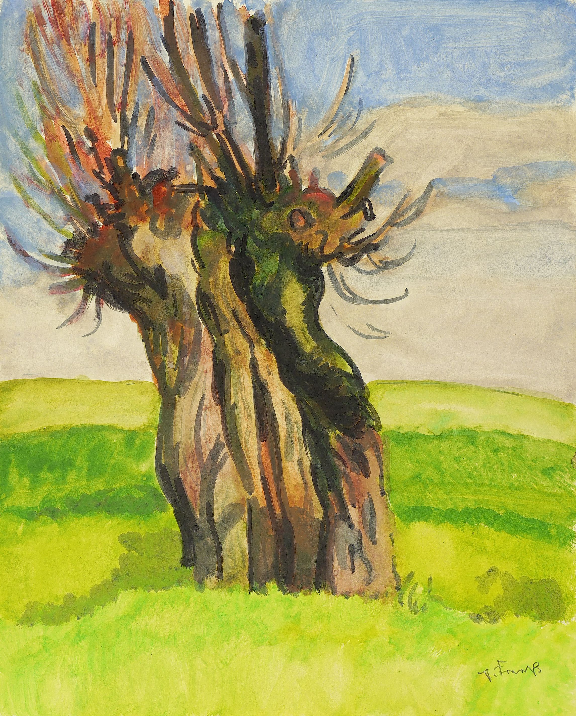 Alter Weidenbaum Alter Weidenbaum