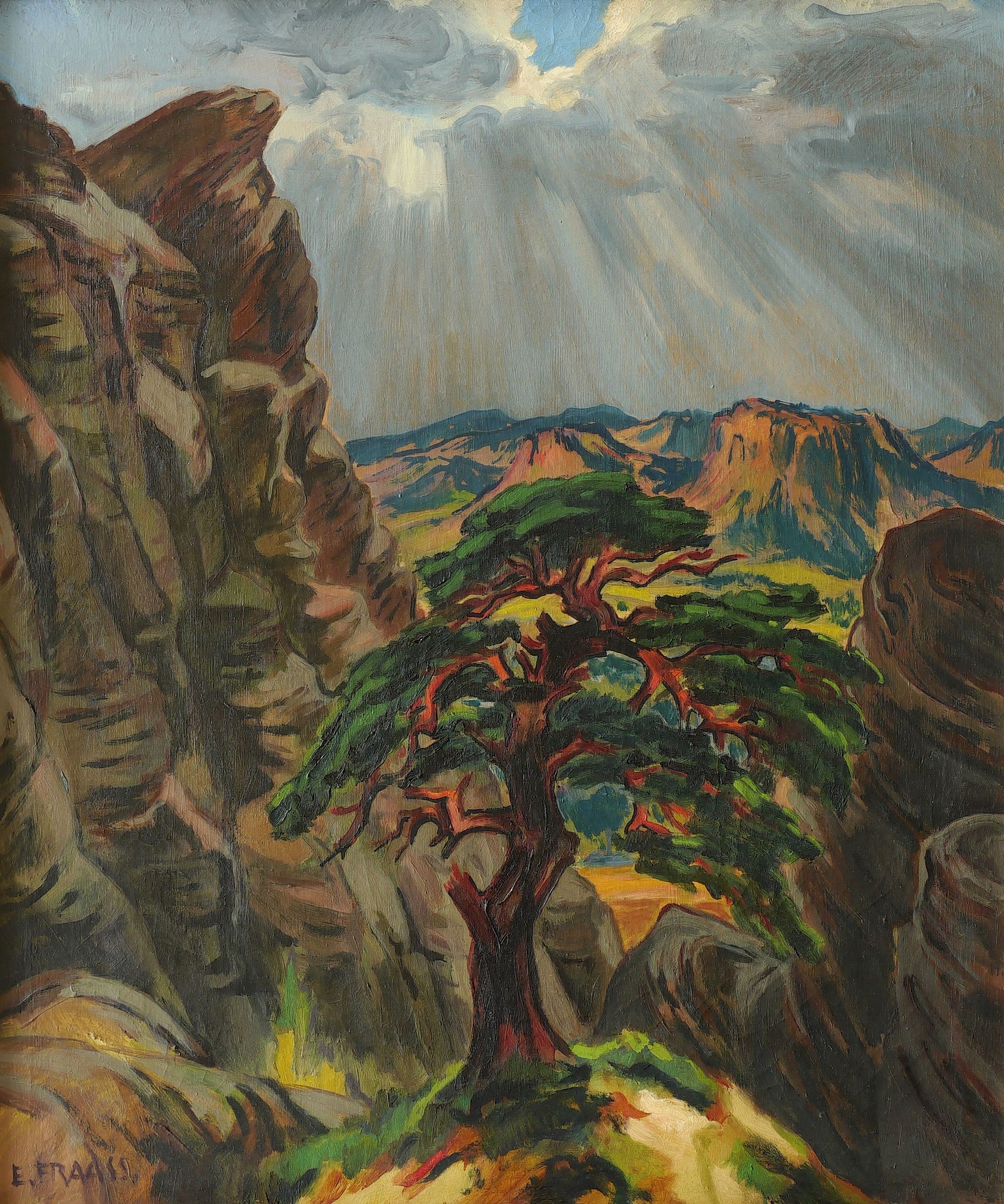 Felsen Felsen