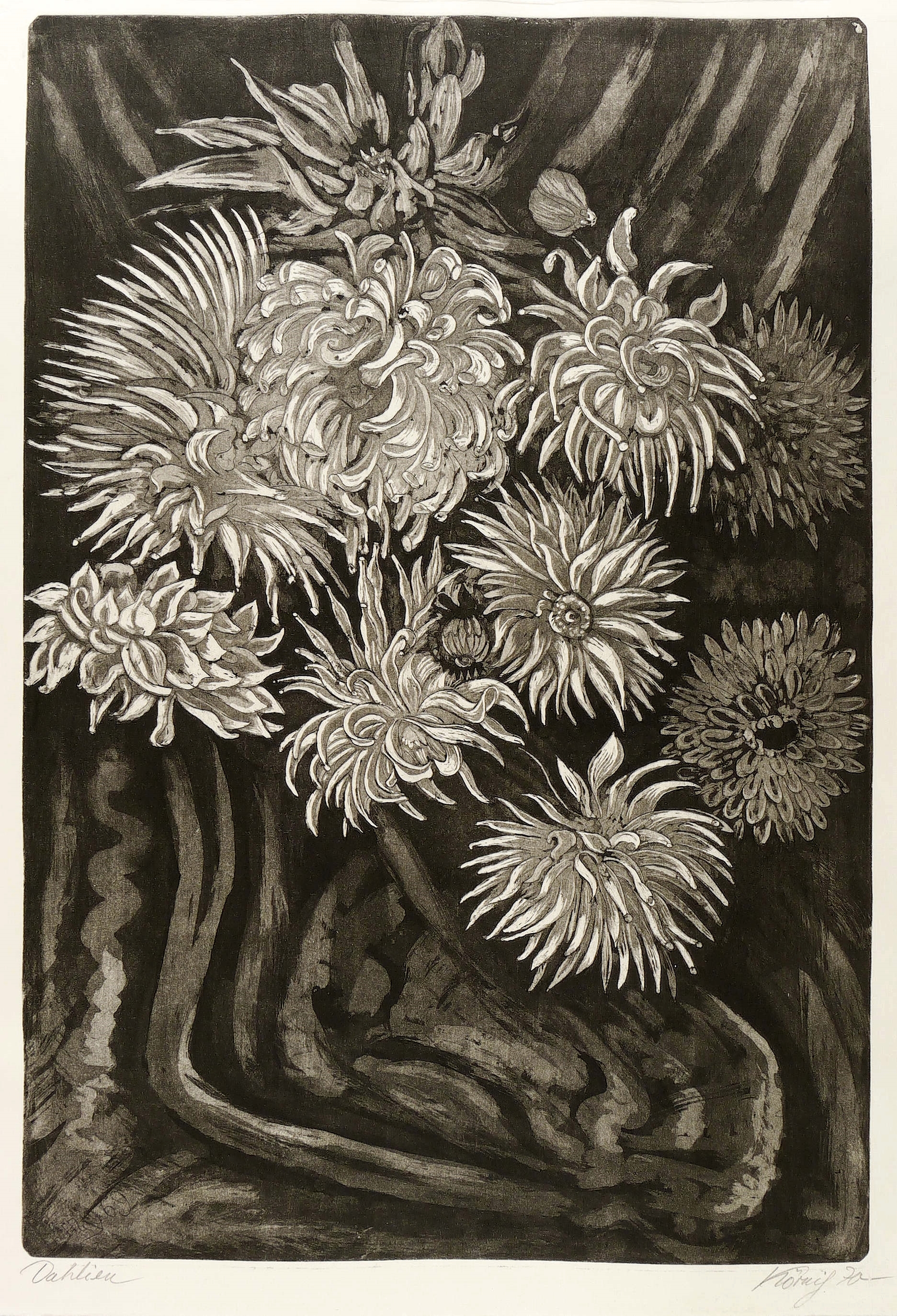 Dahlien Dahlien