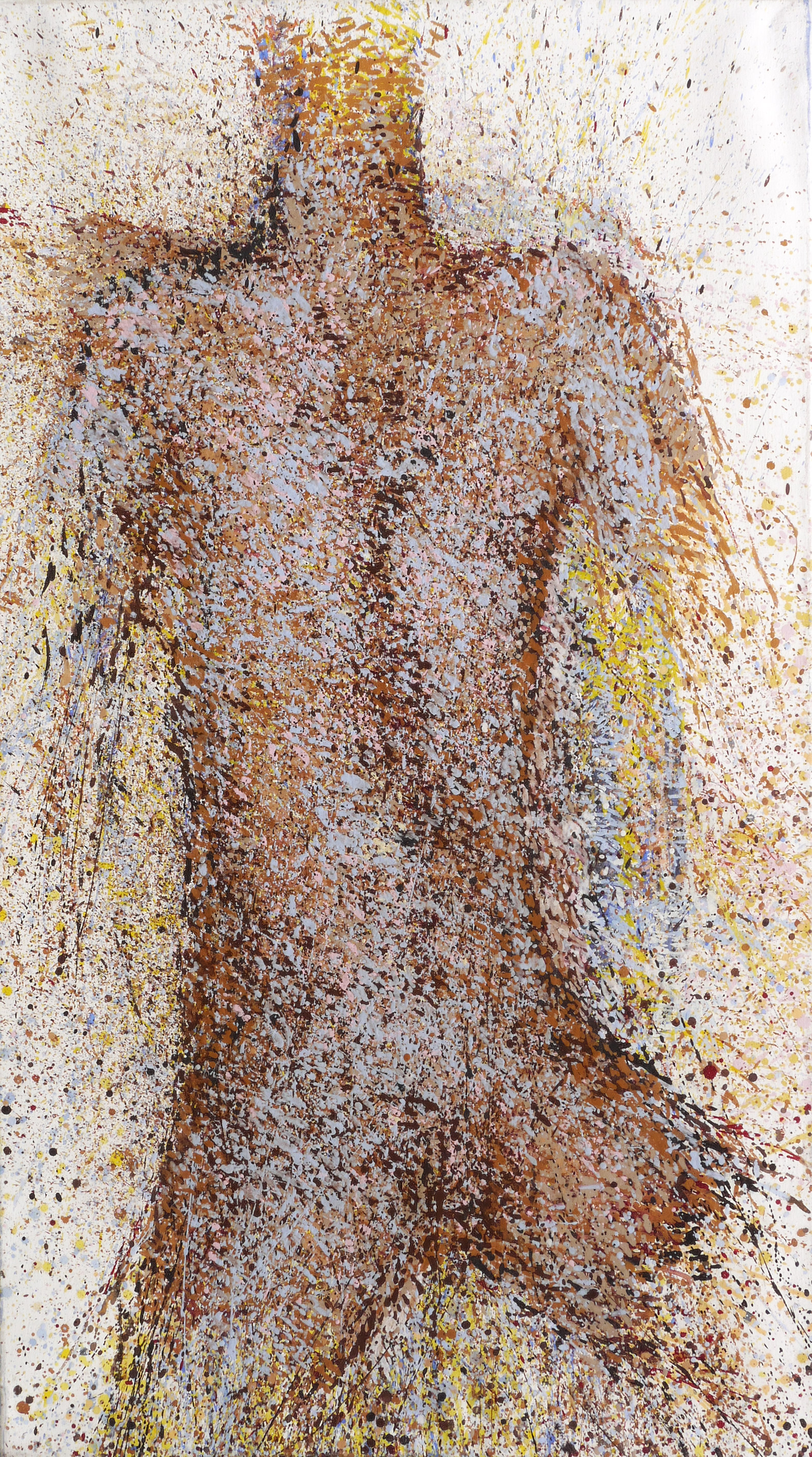 Torso