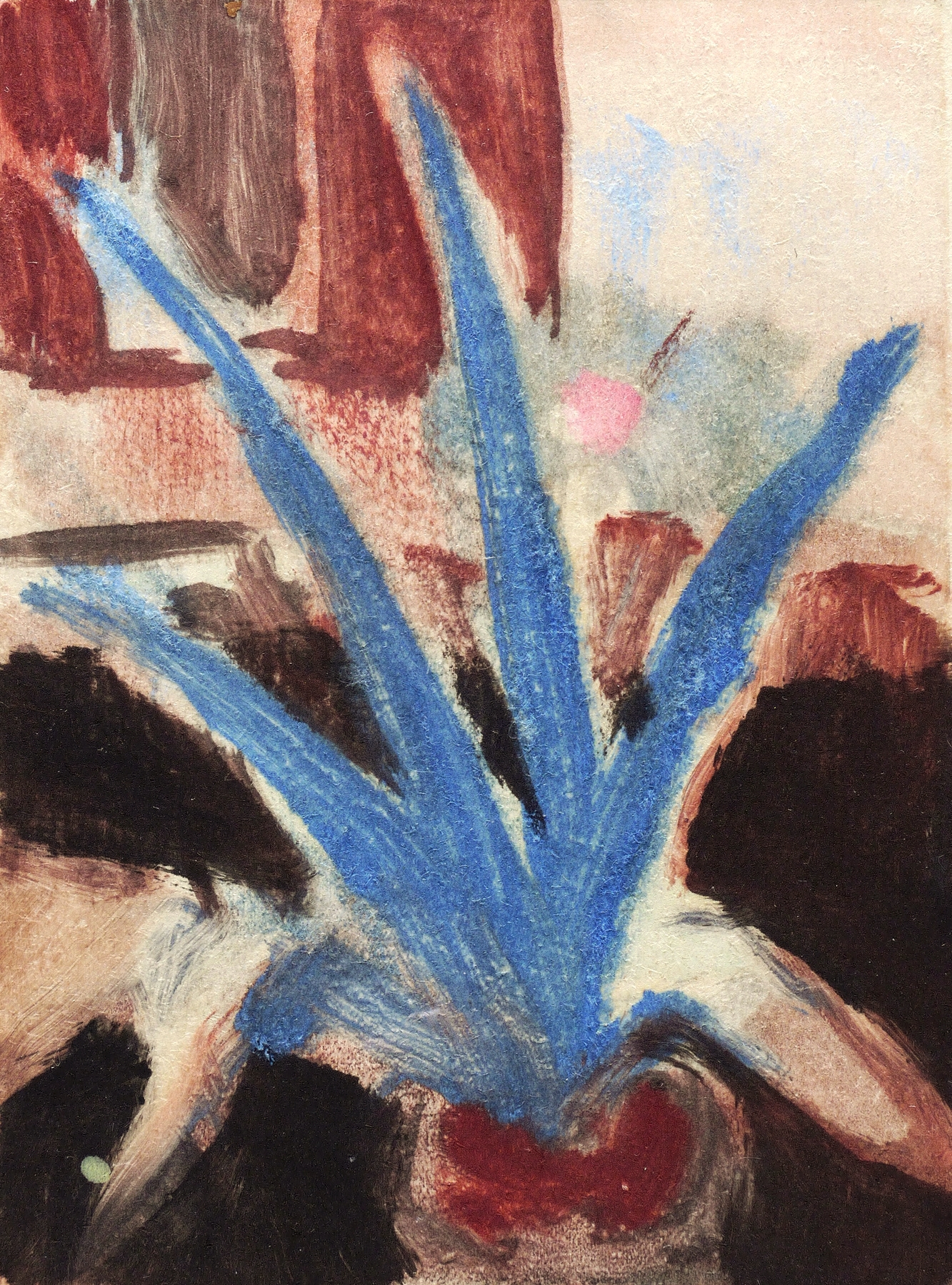Agave Agave