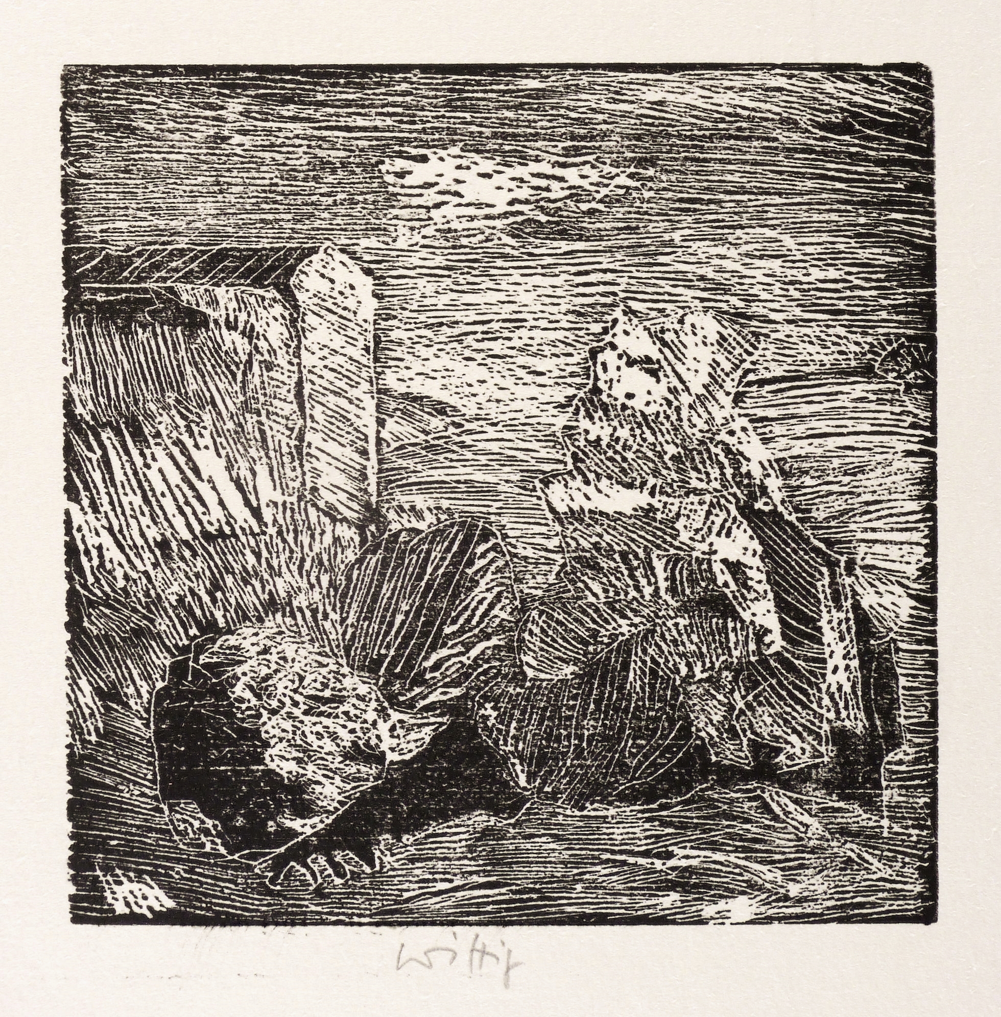 Ohne Titel (Hofstillleben) Ohne Titel (Hofstillleben)